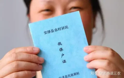 下半年起，国家将集中整治农村这3大乱象，件件都与村干部有关！