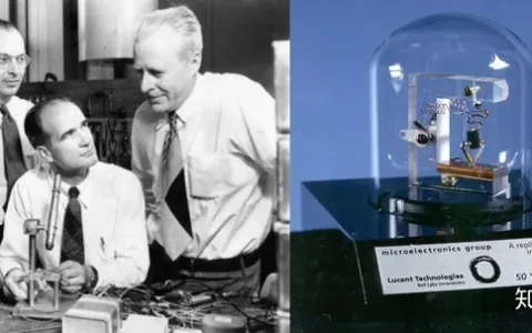 晶体管：现代计算机的细胞