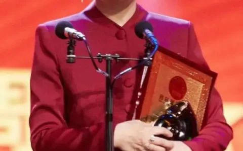 速冻食品包装袋@时隔30年《渴望》一举拿下四项大奖，凯丽荣获　”十佳女演员”