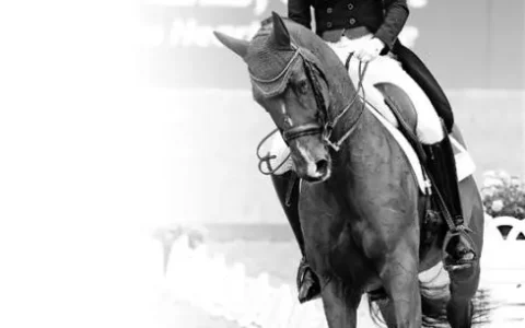 2024年写作社会热点素材——在亚运赛场上