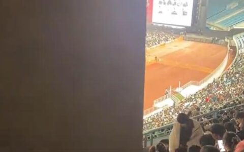 不过半年，它从神综变尬综