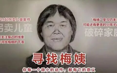 人贩子梅姨之恶