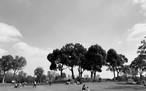 合肥经开区“两湖公园”打造“席地而坐”城市客厅