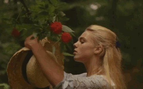 不能出门的五一小长假，不如在家云看世界