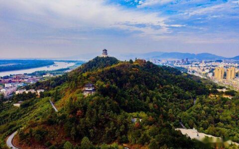 我为家乡（枞阳）写首歌｜应征作品选刊(7-9)