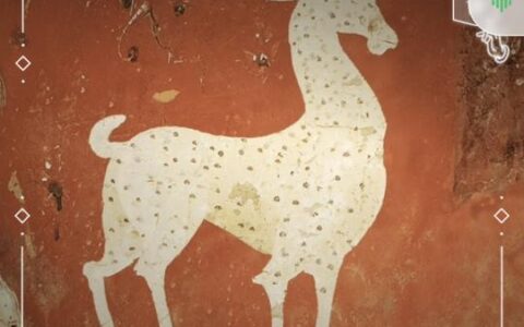 五一宅家“云旅游”方式多样还安全