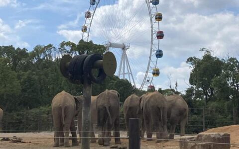 “五一”人山人海模式即将开启！阿姨爷叔提前错峰出行，年轻人挑战“特种兵”式旅游