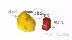 看起来不胖但体重大的女生是什么样的？